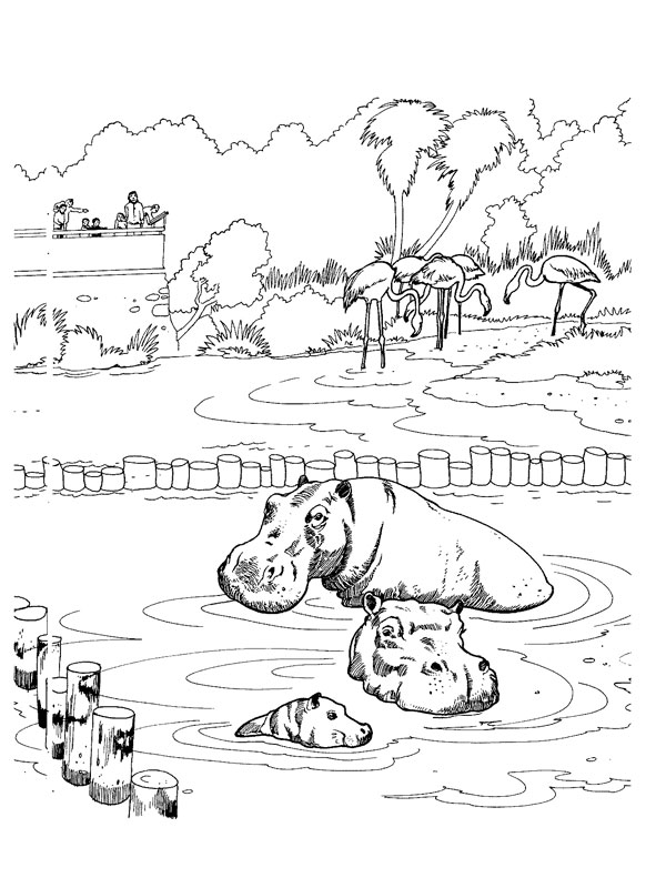 coloriage hippopotames au zoo